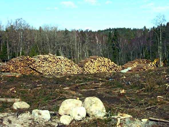 Lysegården Sand & Trä